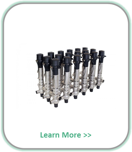 Sanitary valves
